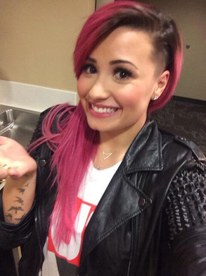 Demi Lovato, Twitter Demi Lovato, Twitter